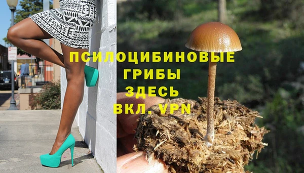 стафф Ельня