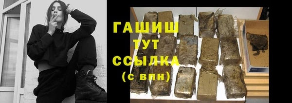 стафф Ельня