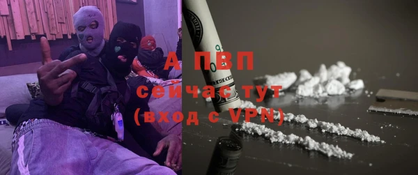 стафф Ельня