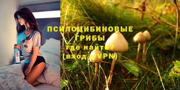 стафф Ельня