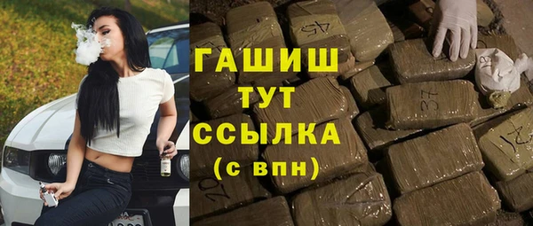 стафф Ельня