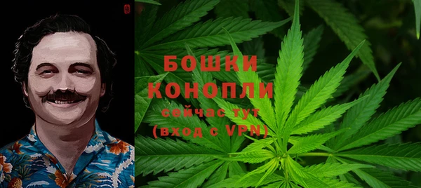 стафф Ельня