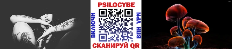 где найти   Нальчик  Галлюциногенные грибы прущие грибы 