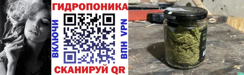Бошки Шишки семена  Нальчик 